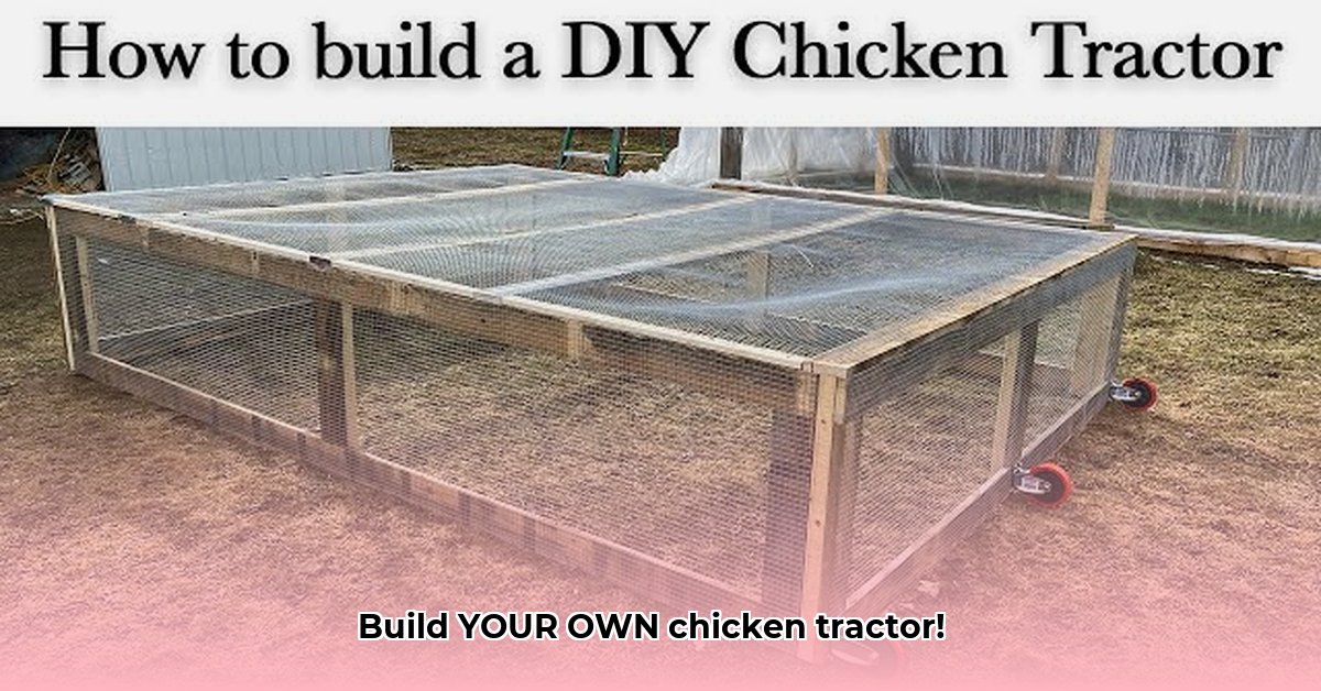 joel-salatin-chicken-tractor-plans-pdf